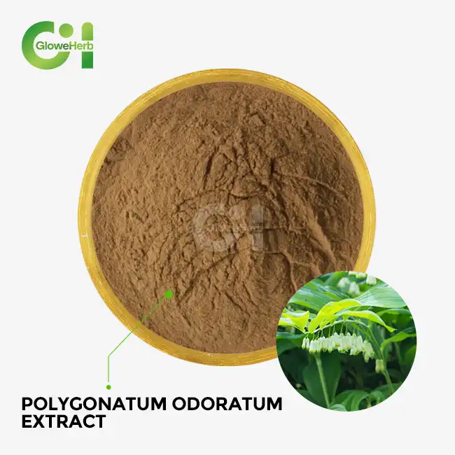 Polygonatum Odoratum Extract